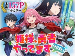 姫様、勇者やってます(極秘)【みーとぱい】
